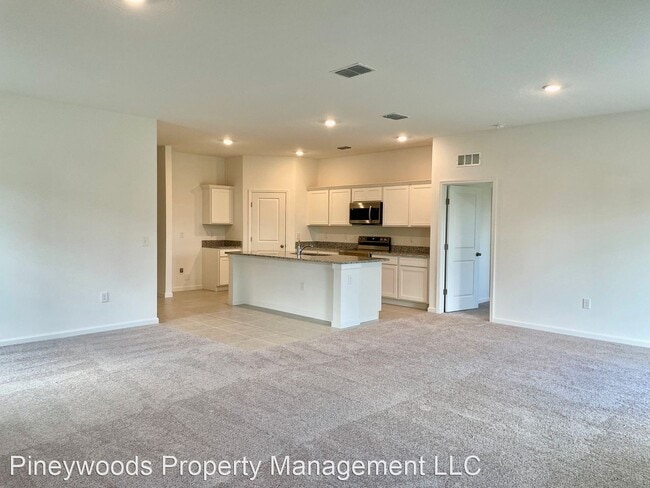 Building Photo - 4 br, 2 bath House - 2126 Gold Dust Drive