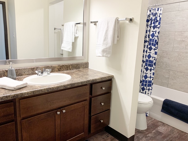 Ridge View Apartments Bathroom - Ridge View