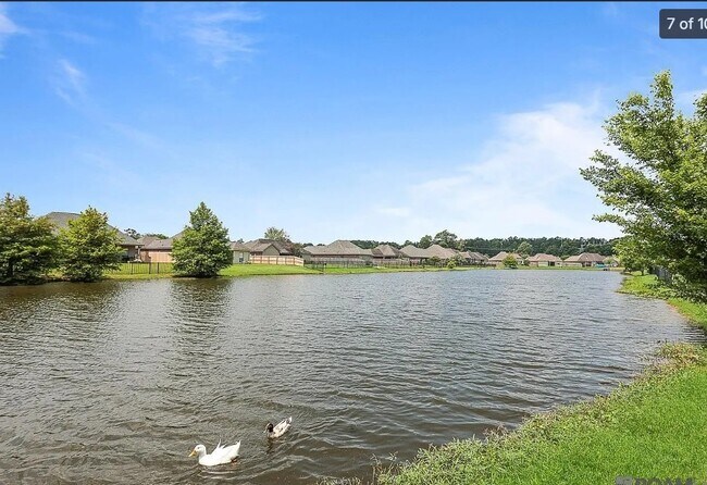 Foto del edificio - 16950 River Birch Ave