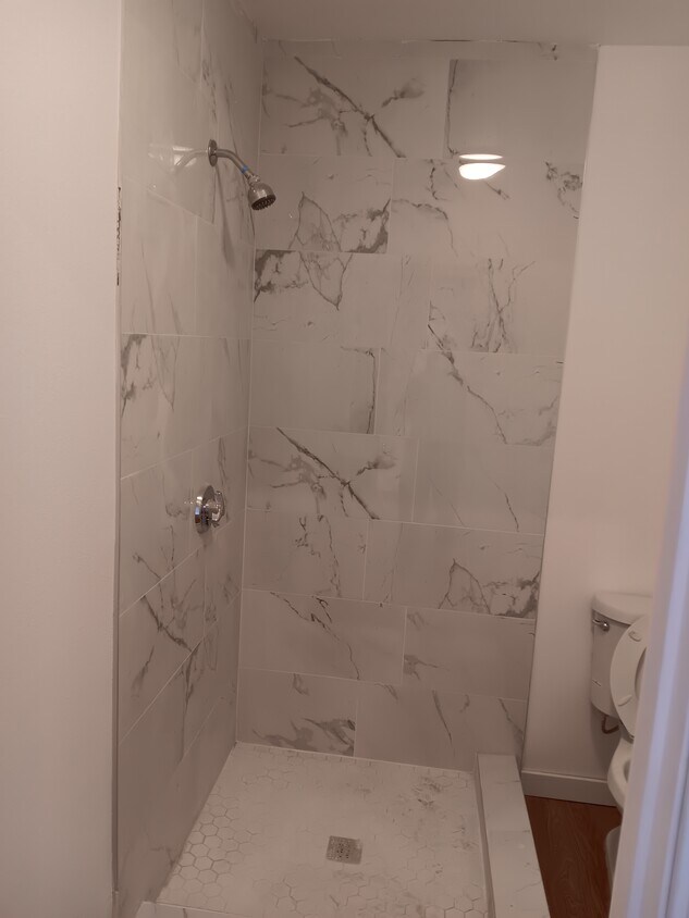 Shower - 44277 Carolside Ave