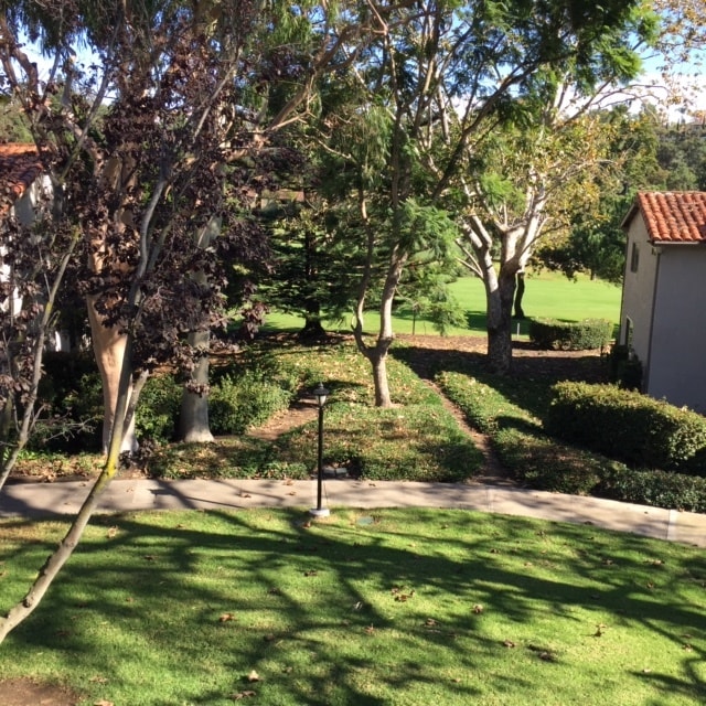 31574 W Nine Dr Unit Niguel Villas, Laguna Niguel, CA 92677 Condo for