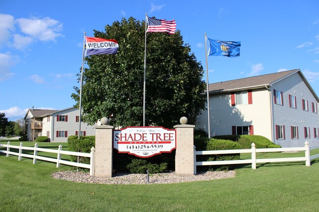 Interior Photo - Shade Tree