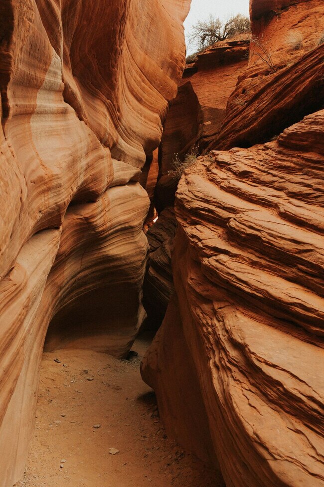 Foto del edificio - 523 W Vance Dr