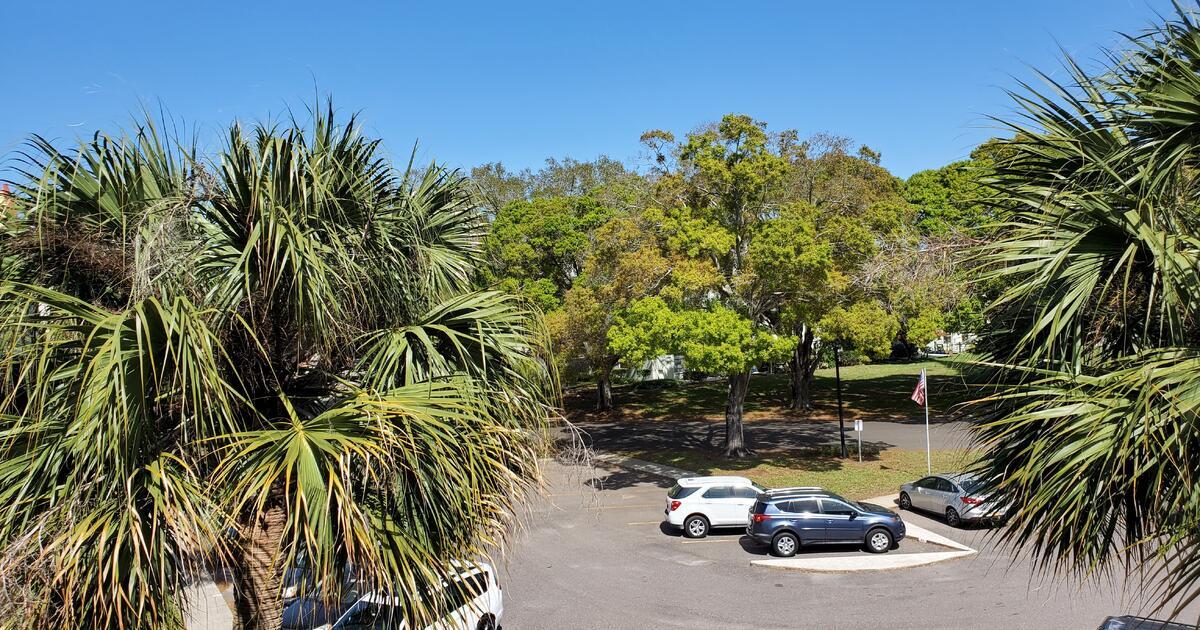 Photo - 2471 Sumatran Way (Clearwater, FL)