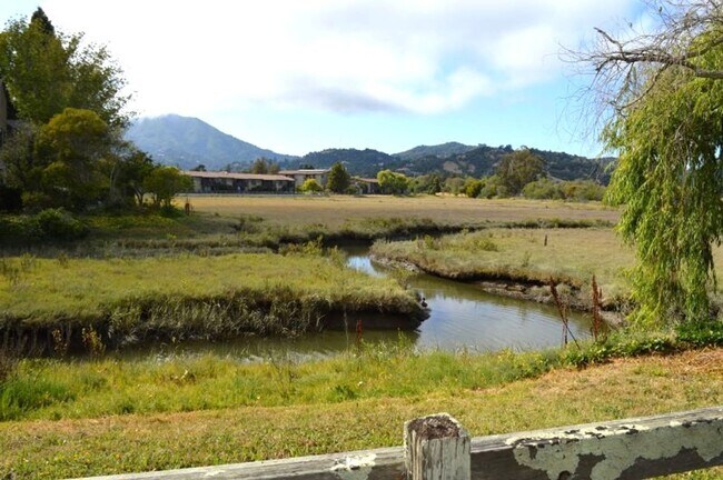 Foto del edificio - Charming Single-Level Condo in Mill Valley...