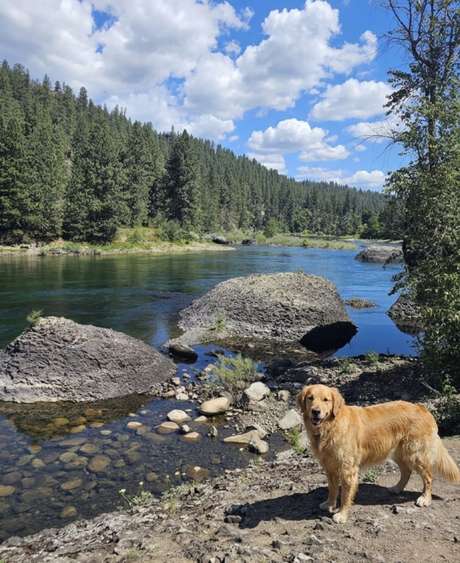 Interior Photo - Arborview on the River