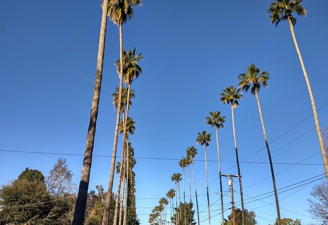 Building Photo - 15157 Hamlin St