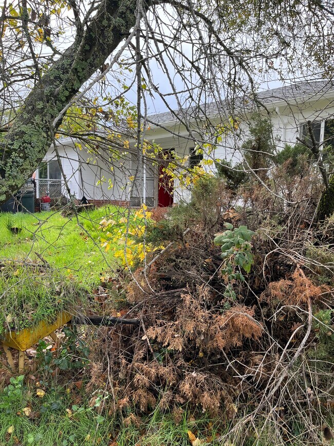 Foto del edificio - 39 Stark Ln