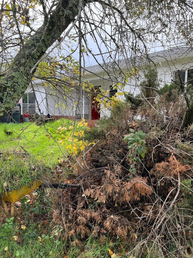 Building Photo - 39A Stark Ln