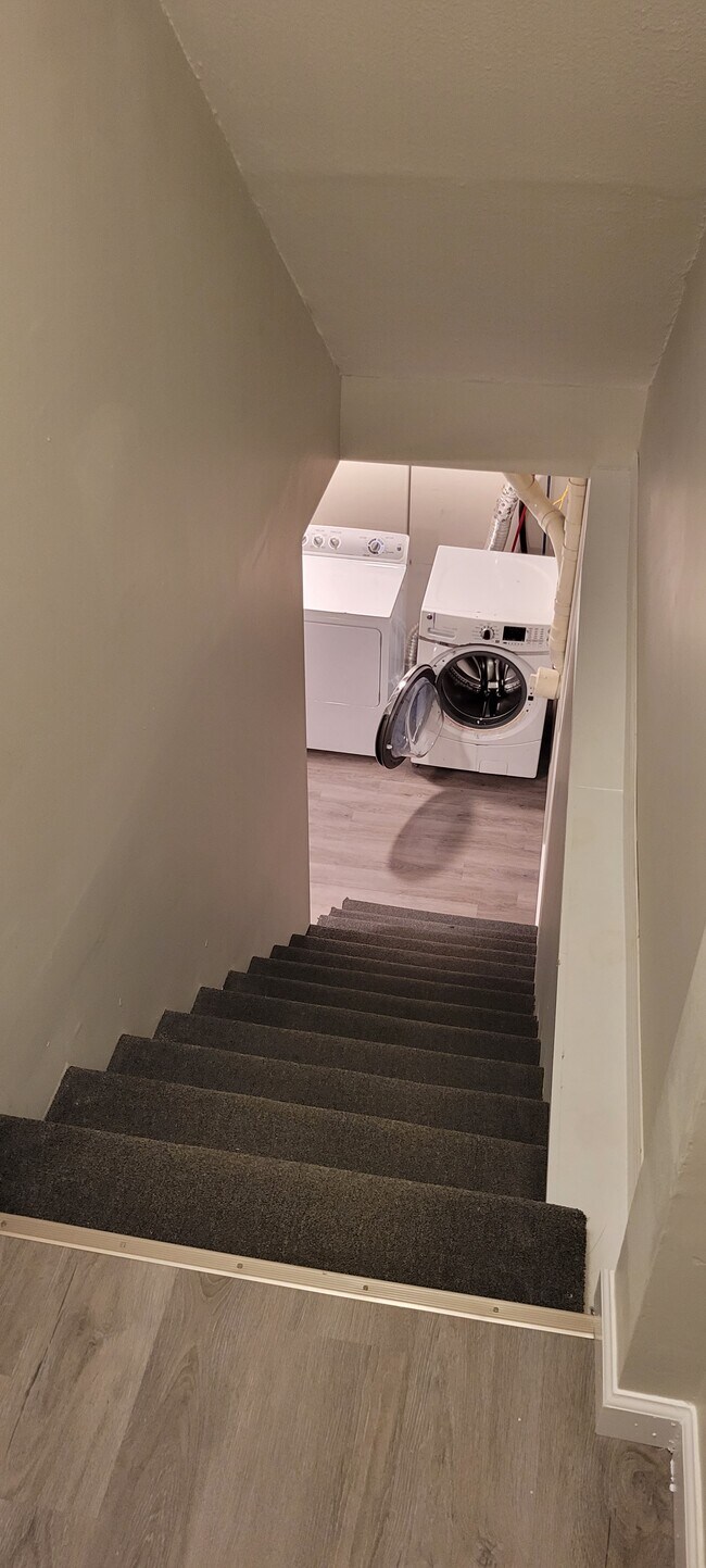 Escalera al sótano, sótano terminado - 1109 Chester St