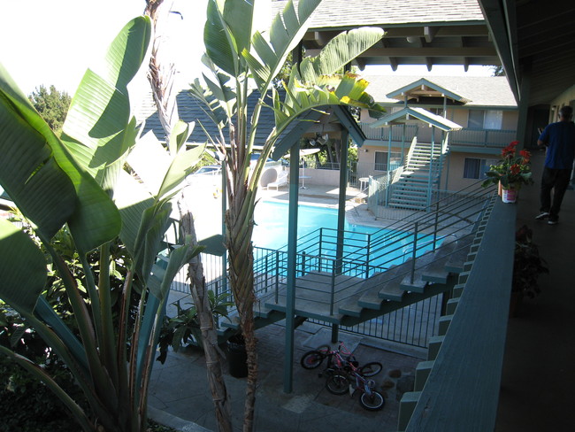 Piscina - Village Apartments