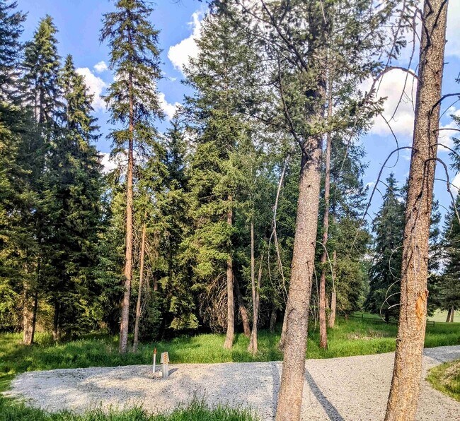 Building Photo - 121 Wilderness Trail