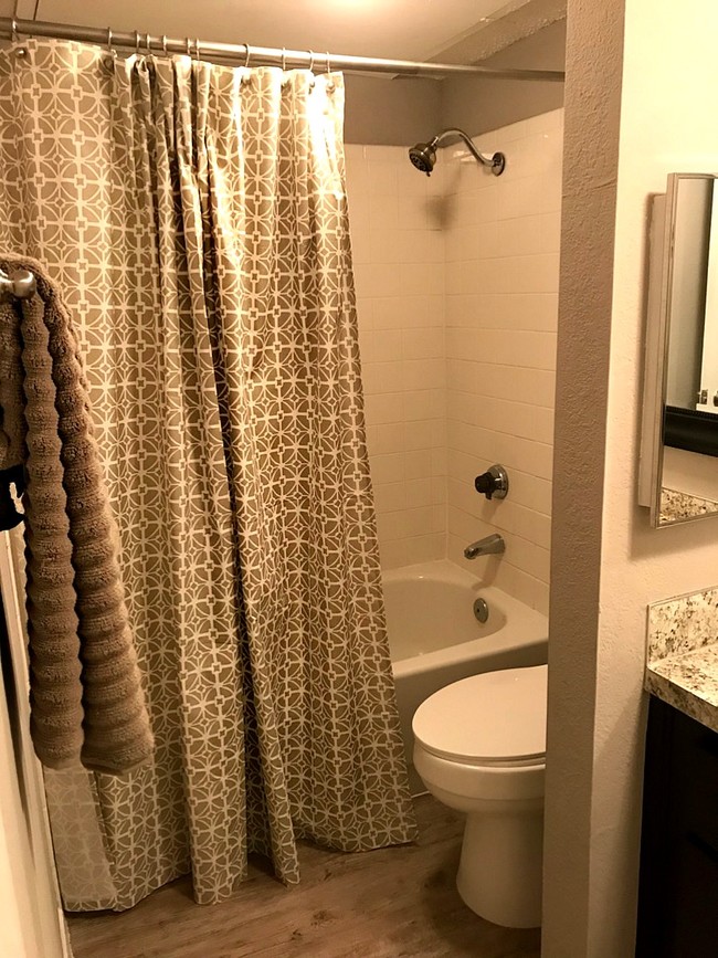 2BR 2BA- Bathroom - The Enclave