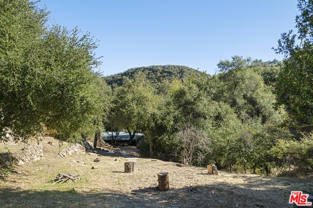 Foto del edificio - 653 Old Topanga Canyon Rd