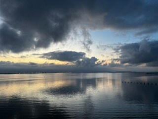 Foto del edificio - 4950 Bayshore Blvd