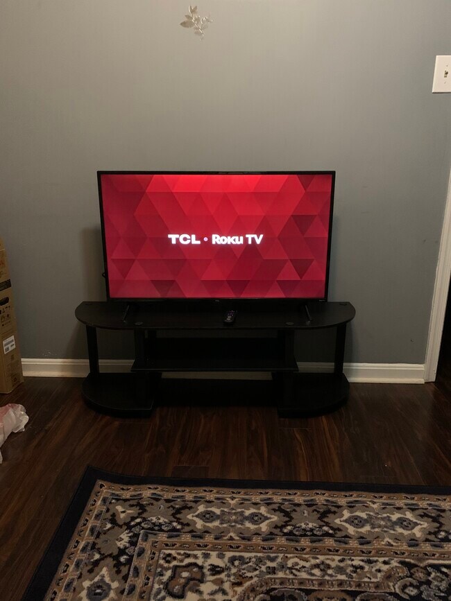 Roku TV living room - 11811 Old Fort Rd