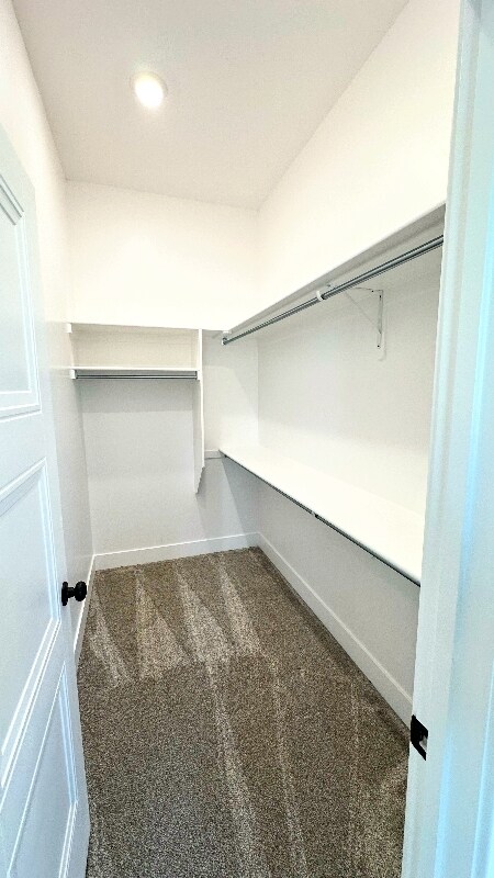 Foto del edificio - 3036 Riatta Ln