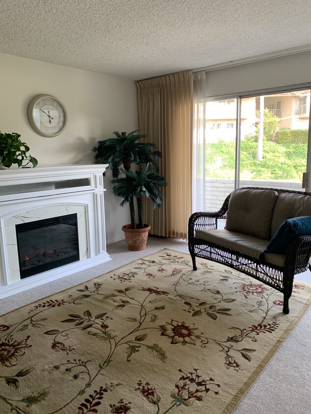 Wonderful natural light and cozy fireplace in the living room - 621 Avenida Sevilla