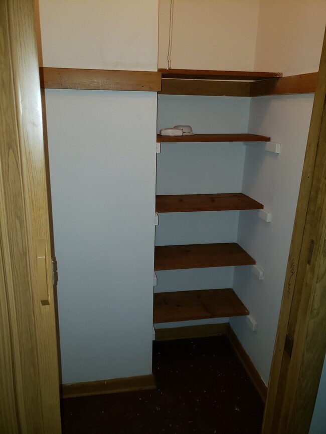 Bonus Closet Space in Living Room - 8822 W Congress St