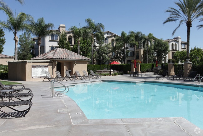 Pool - Esplanade