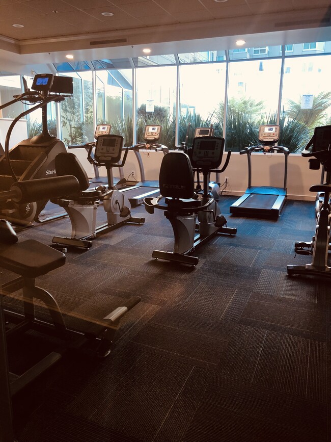 gym - 240 Lombard St