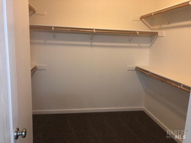 Primary Photo - 124 Palermo Way