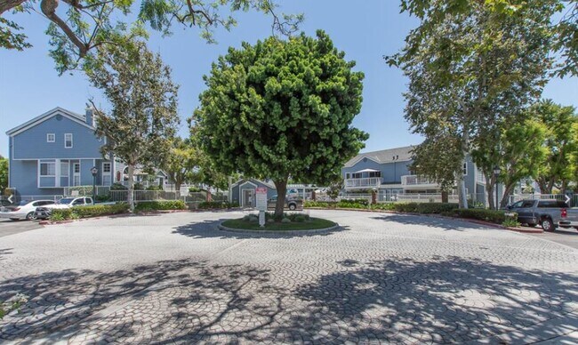 Foto del edificio - 12866 Sycamore Village Dr