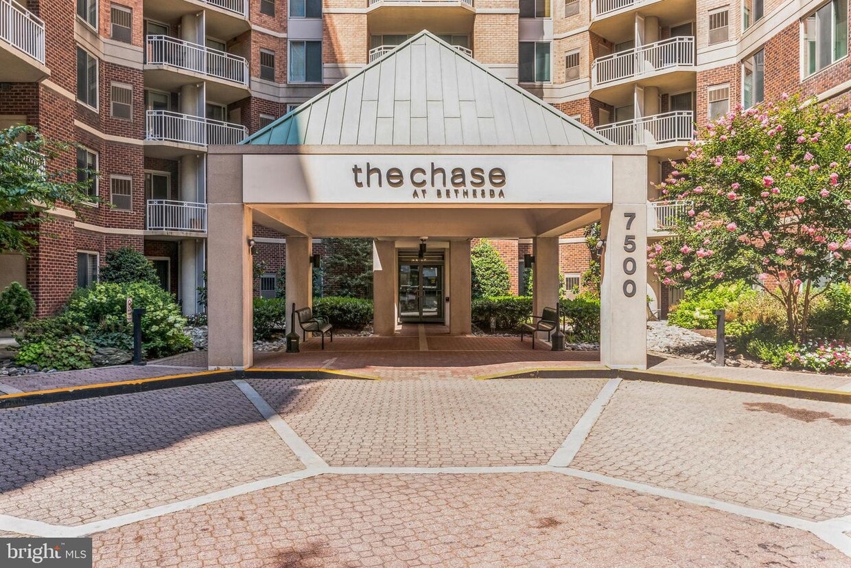 7500 Woodmont Ave Unit S202, Bethesda, MD 20814 Room for Rent in