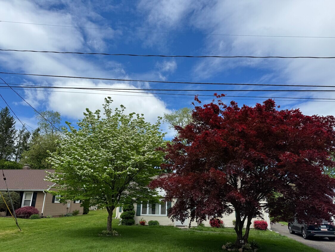 Foto del edificio - 74 Indian Hill Rd