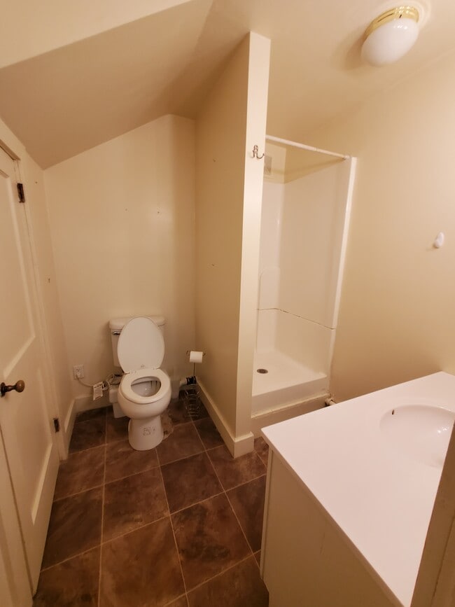 Downstairs Bath - 347 Clark St