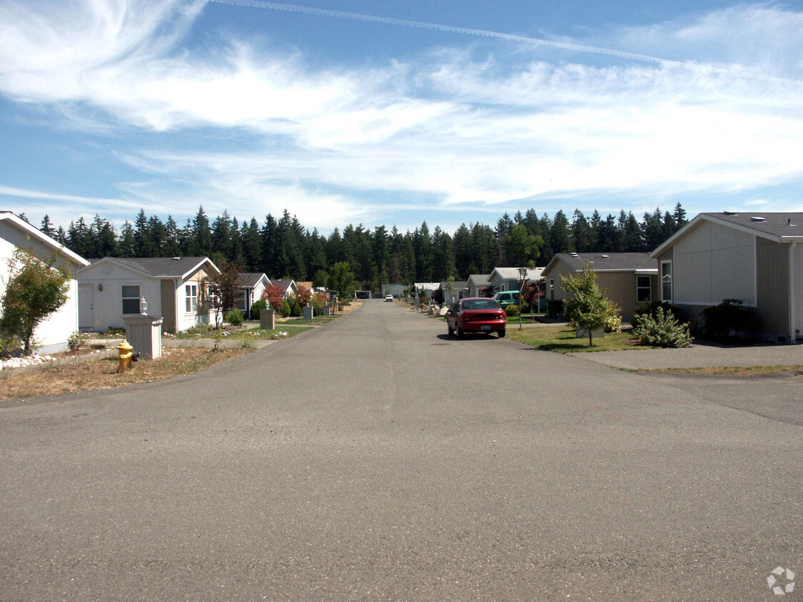 Primary Photo - Evergreen Ridge Park