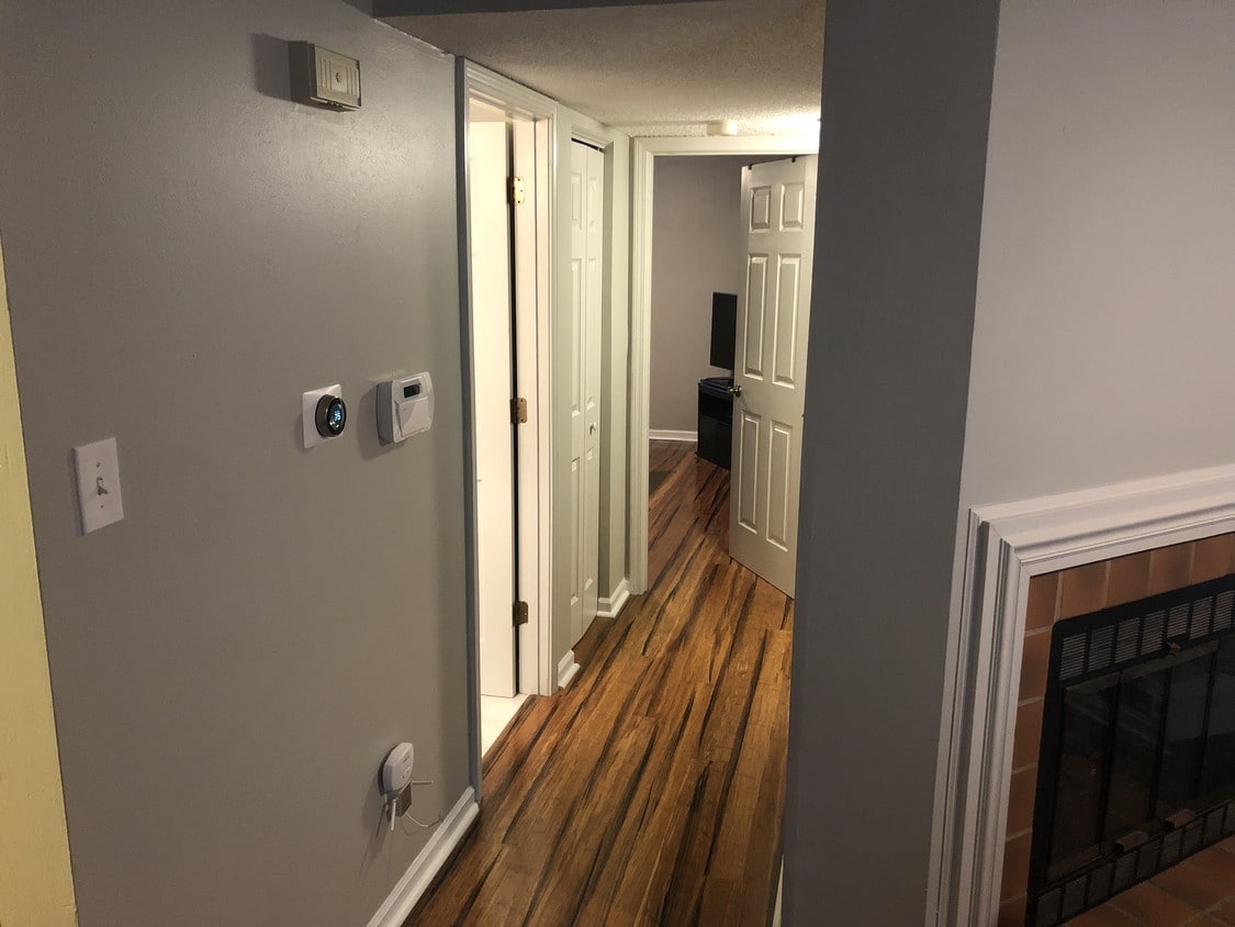 Hallway leading into rooms/Fireplace - 1437 Thrush Pl