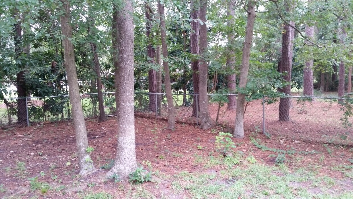 Backyard2 - 108 Twinwood Dr