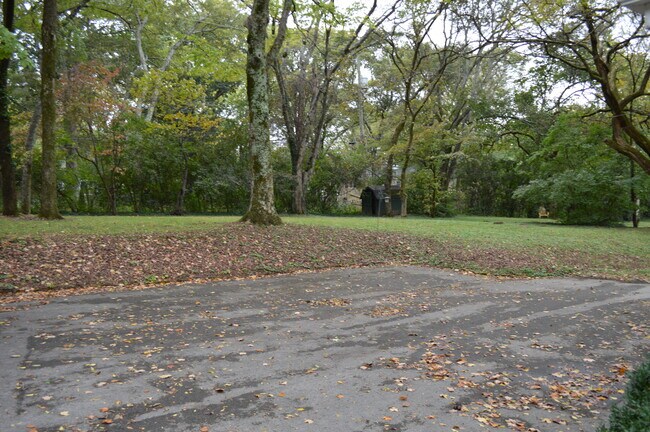Great back yard - 103 Alton Rd