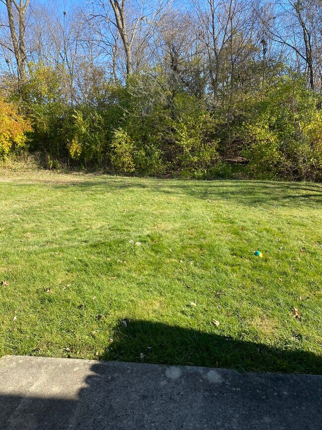 Back yard - 425 Railroad St