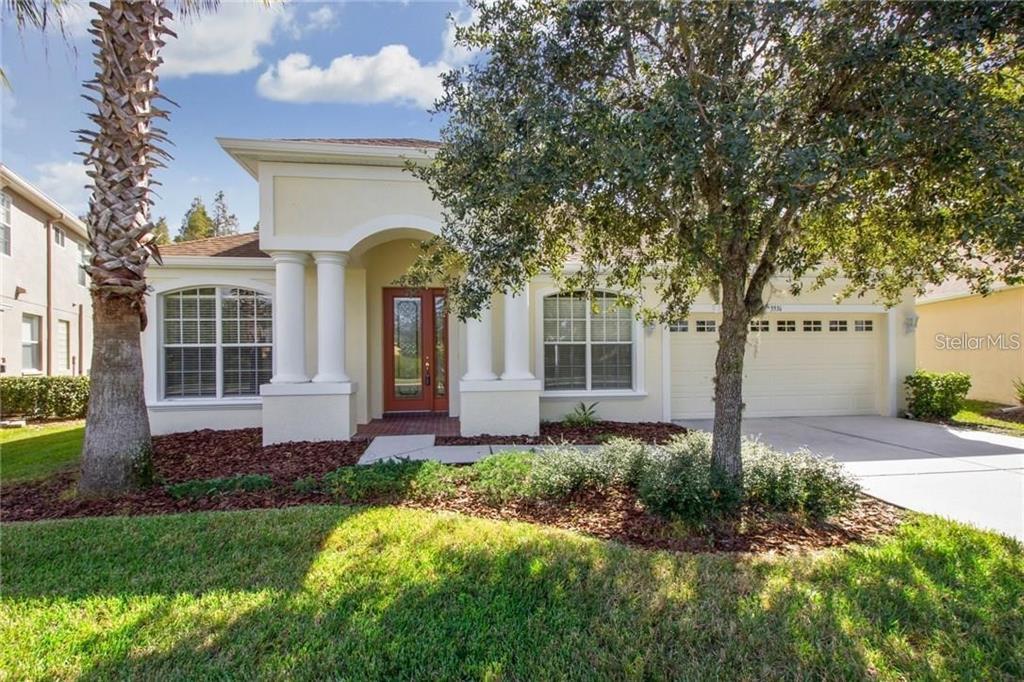 1 Bedroom Apartments In Wesley Chapel Fl