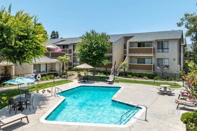 Segunda Piscina - Pinecreek Apartments