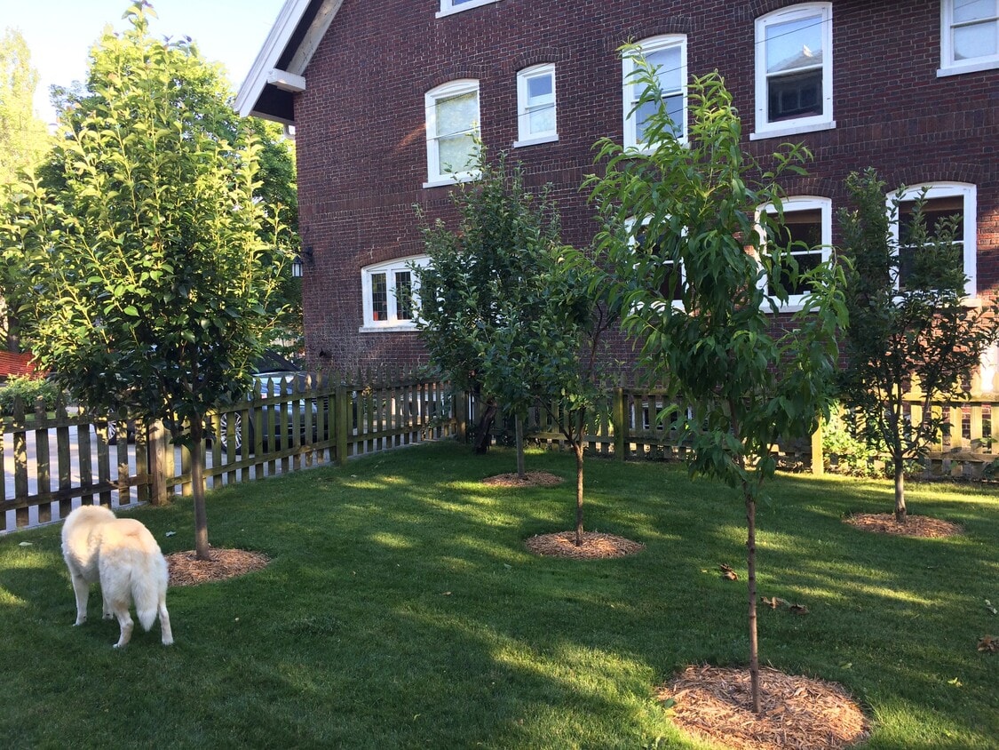 Foto del edificio - 243 College Ave SE