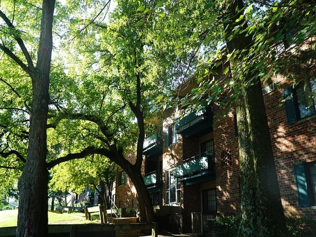 Building Photo - Maple Ridge Apartments