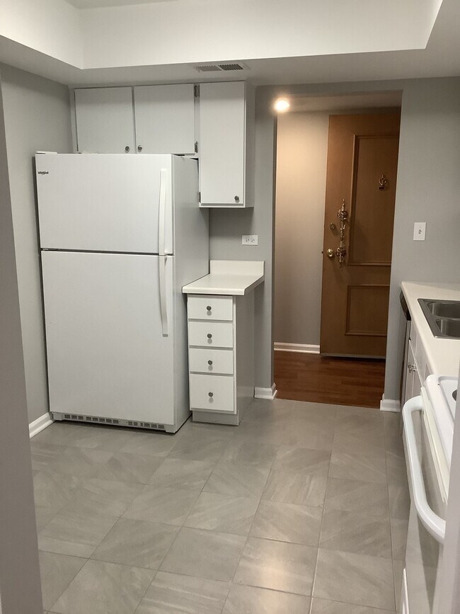 207 W Park Ave Unit 107, Libertyville, IL 60048 Condo for Rent in