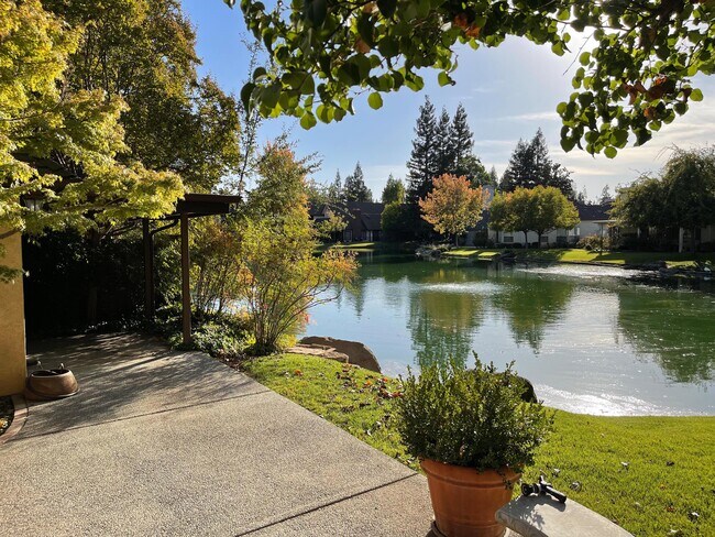 Backyard View - 6775 N Wembley Dr