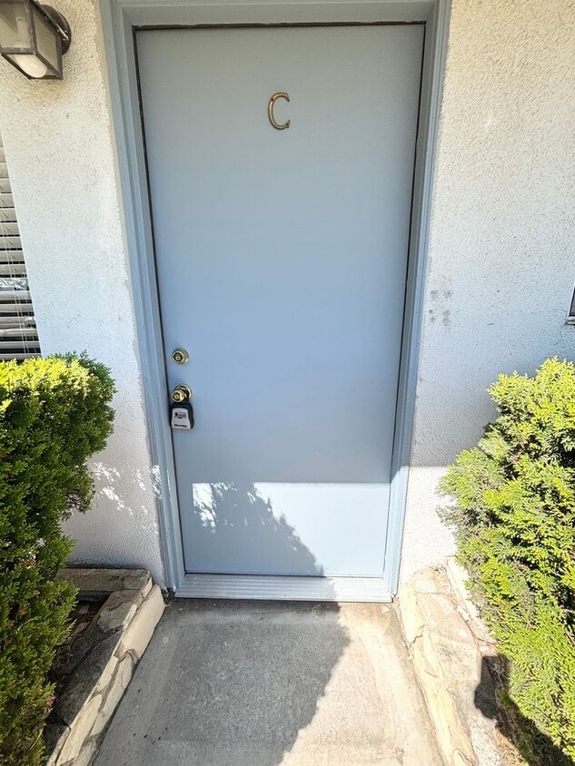 Primary Photo - A1101-P