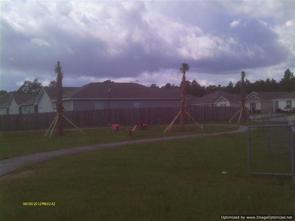 Building Photo - 5374 Quail Creek Cir