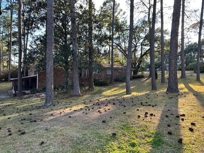 Building Photo - 923 Abbiegail Dr