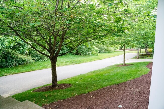 Foto del edificio - 8501 Burnham Ln