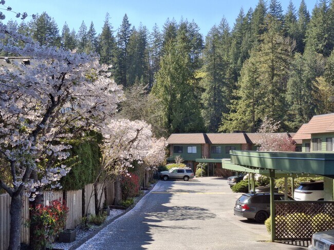 Building Photo - Canyon Manor