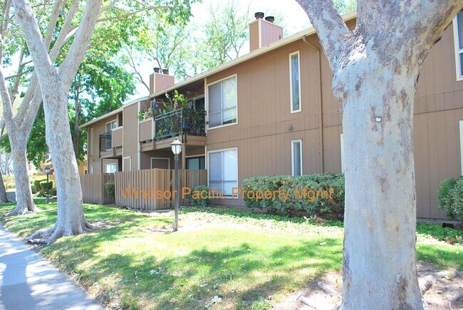 Foto del edificio - Updated, Bright, Spacious & Clean! Excellent Location at The Vintner in San Ramon