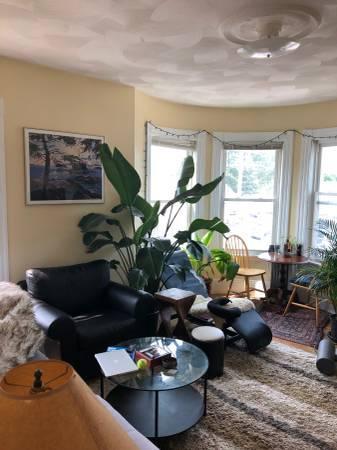 Foto principal - 3.0 bedroom in Somerville Massachusetts 02143