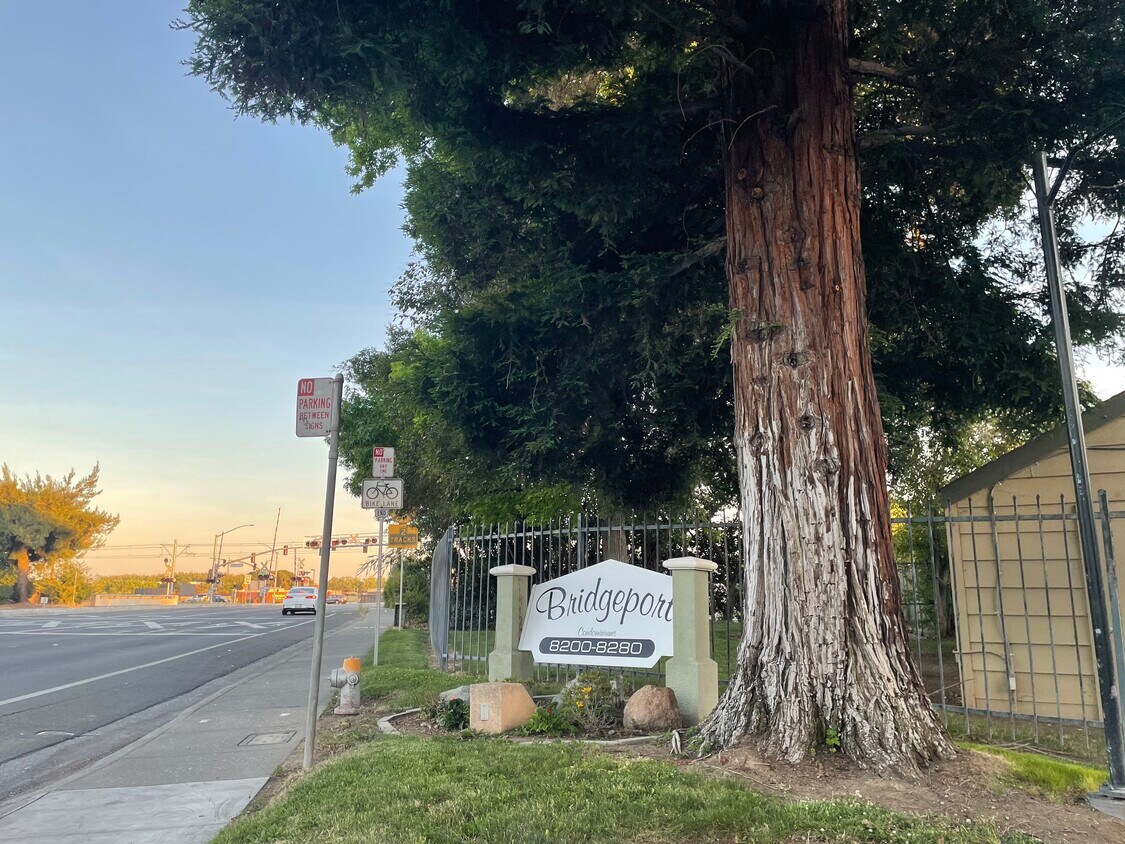 8244 Center Pky Unit 64, Sacramento, CA 95823 Condo for Rent in