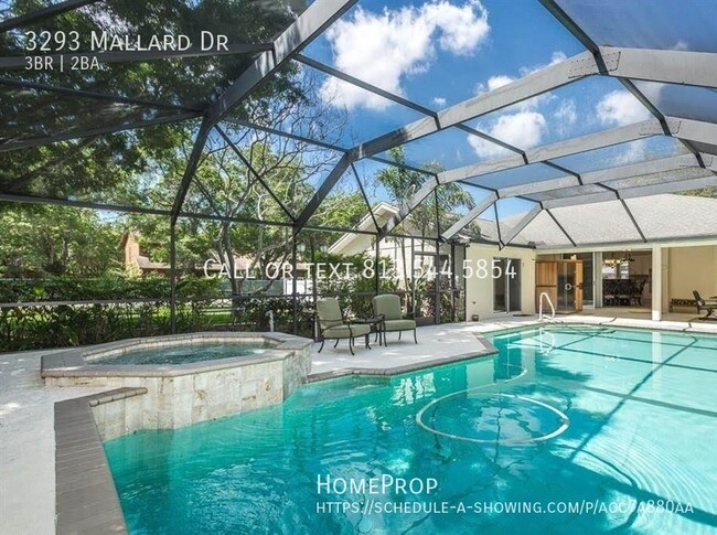 Foto del edificio - Beautiful Safety Harbor Pool Home